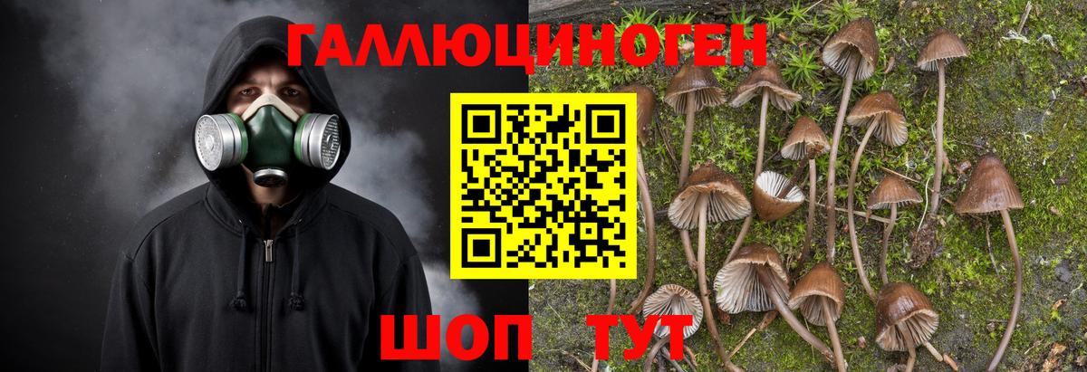 Галлюциногенные грибы Psilocybe  Вход с VPN  Жигулёвск 
